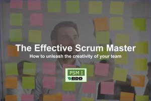 The Effective Certified Proffesional Scrum Master training